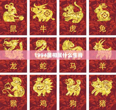 生肖 1994|1994年属什么生肖配对 1994年和什么属相最配